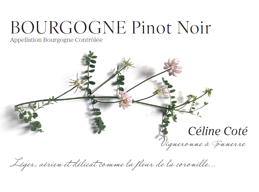 Bourgogne Pinot Noir 2023