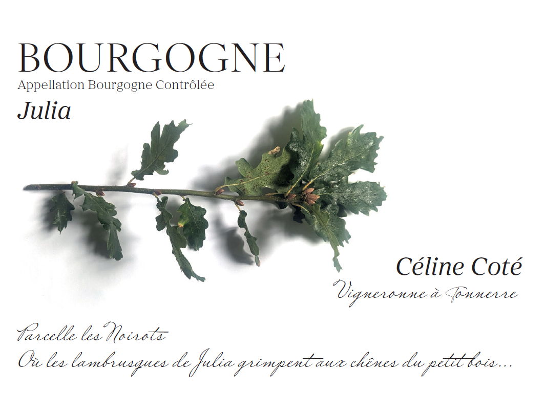 Bourgogne Cuvée Julia 2023