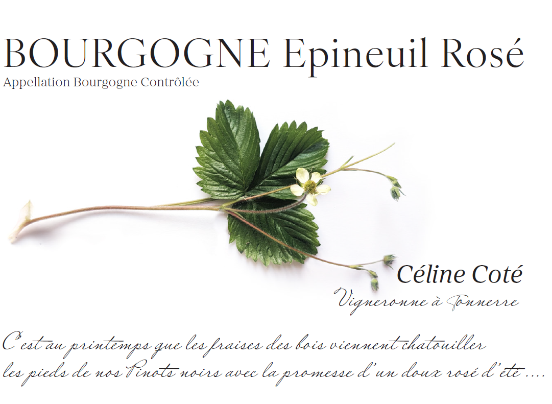 Bourgogne Epineuil Rosé 2025