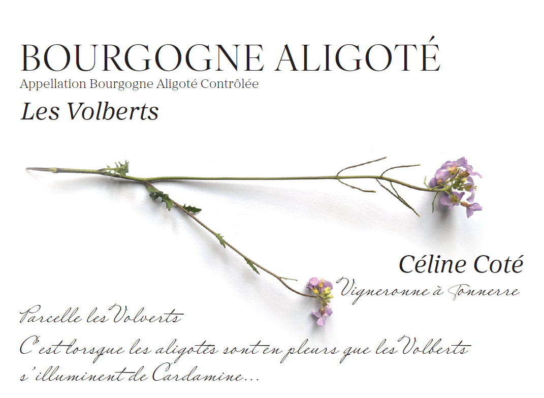 Bourgogne Aligoté 2025