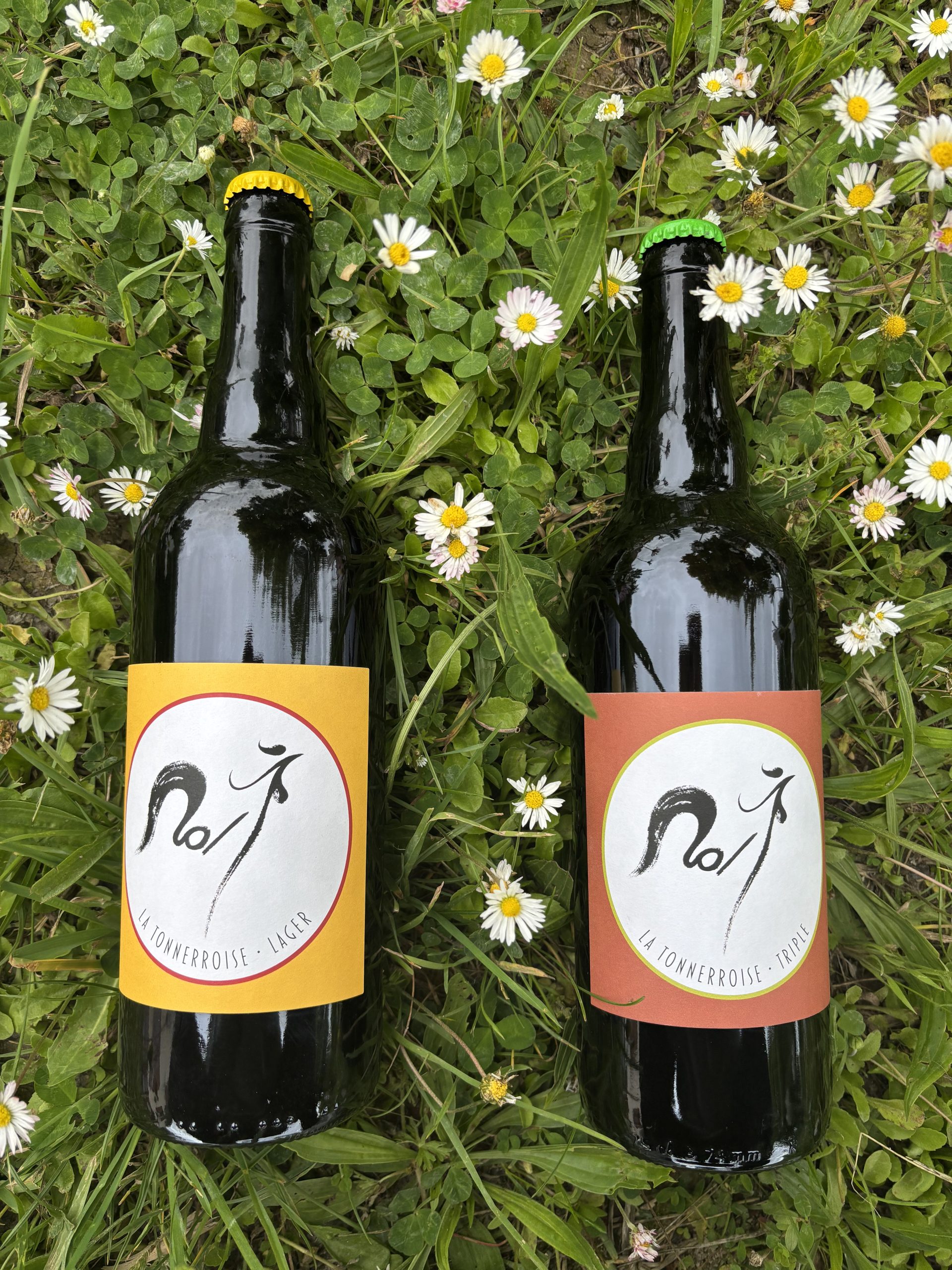 Lot 6 bières bio 75cl panachées