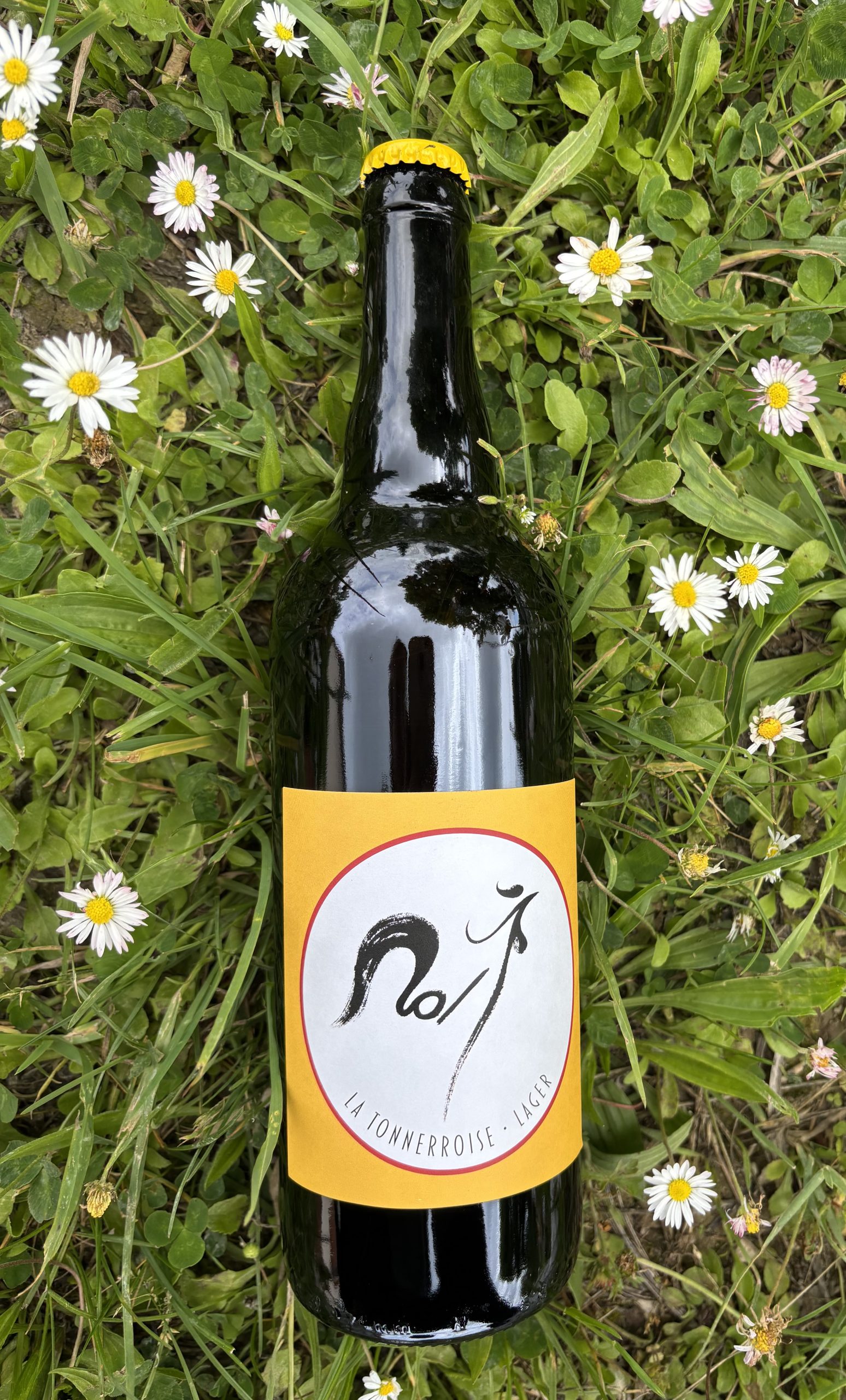 Lot de 6 Bières Lager 75cl