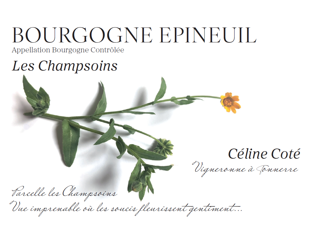Bourgogne Epineuil 2023