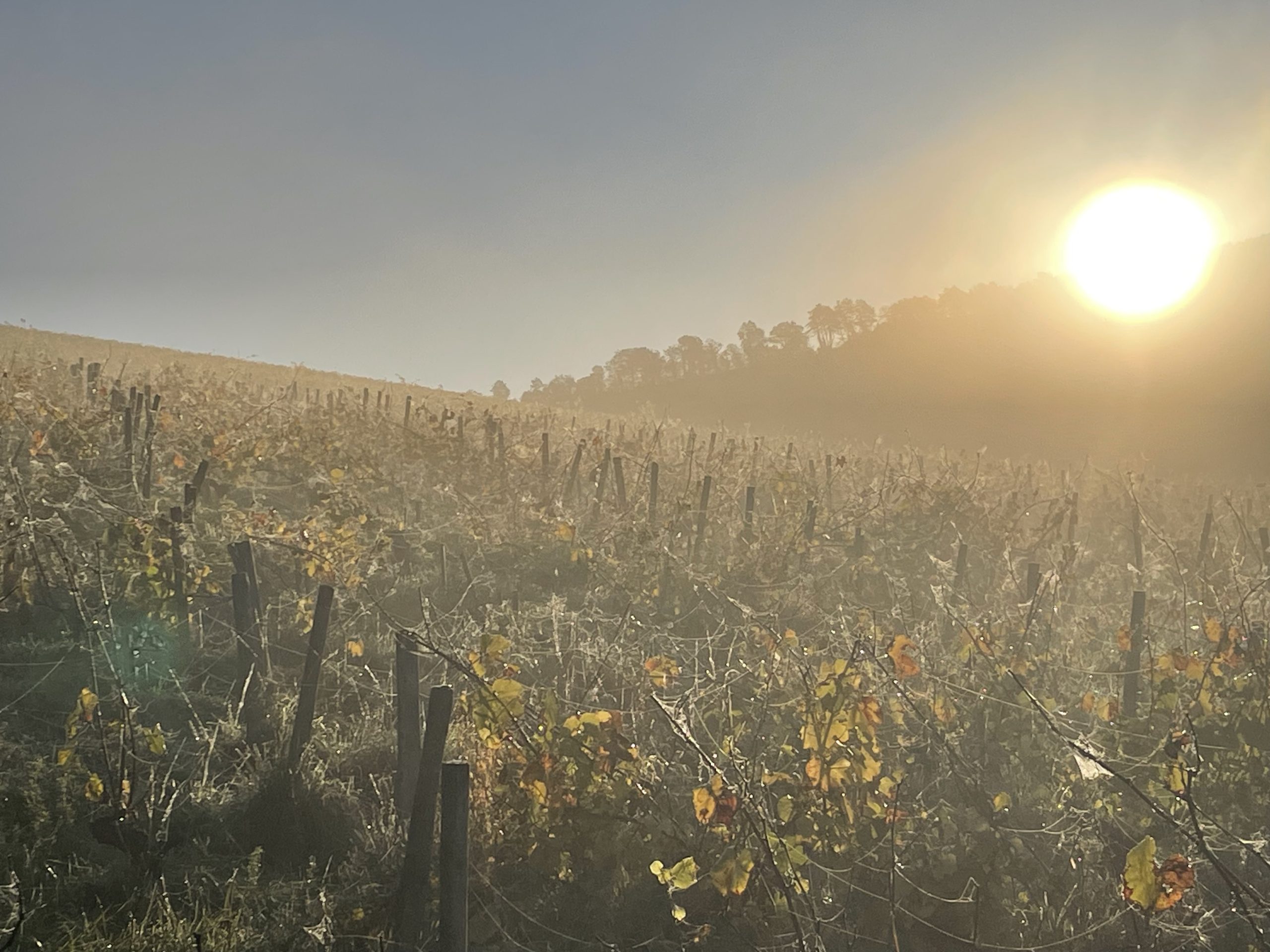 Randonnée Dimanche 5 avril 2026